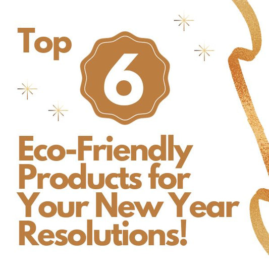 Embrace Sustainable Living: Top 6 Eco-Friendly Products for Your New Year Resolutions!